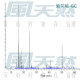 Tansy Blue - 藍艾菊 Tansy Blue - 藍艾菊
